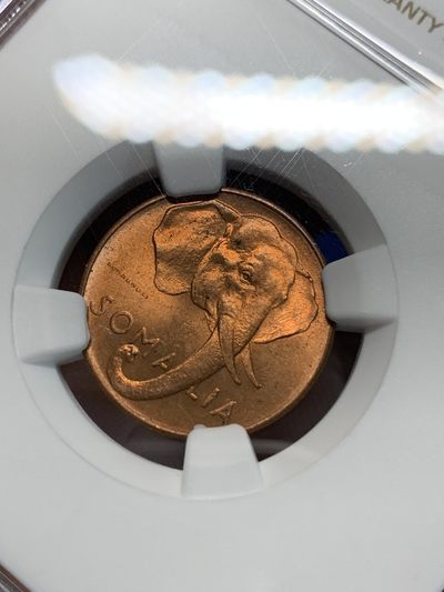 《竞宝斋》第239场-周日，周一 年终拍场 (全场包邮) NGC MS64RB 索马里1950年1分大象头像铜币，好光好品