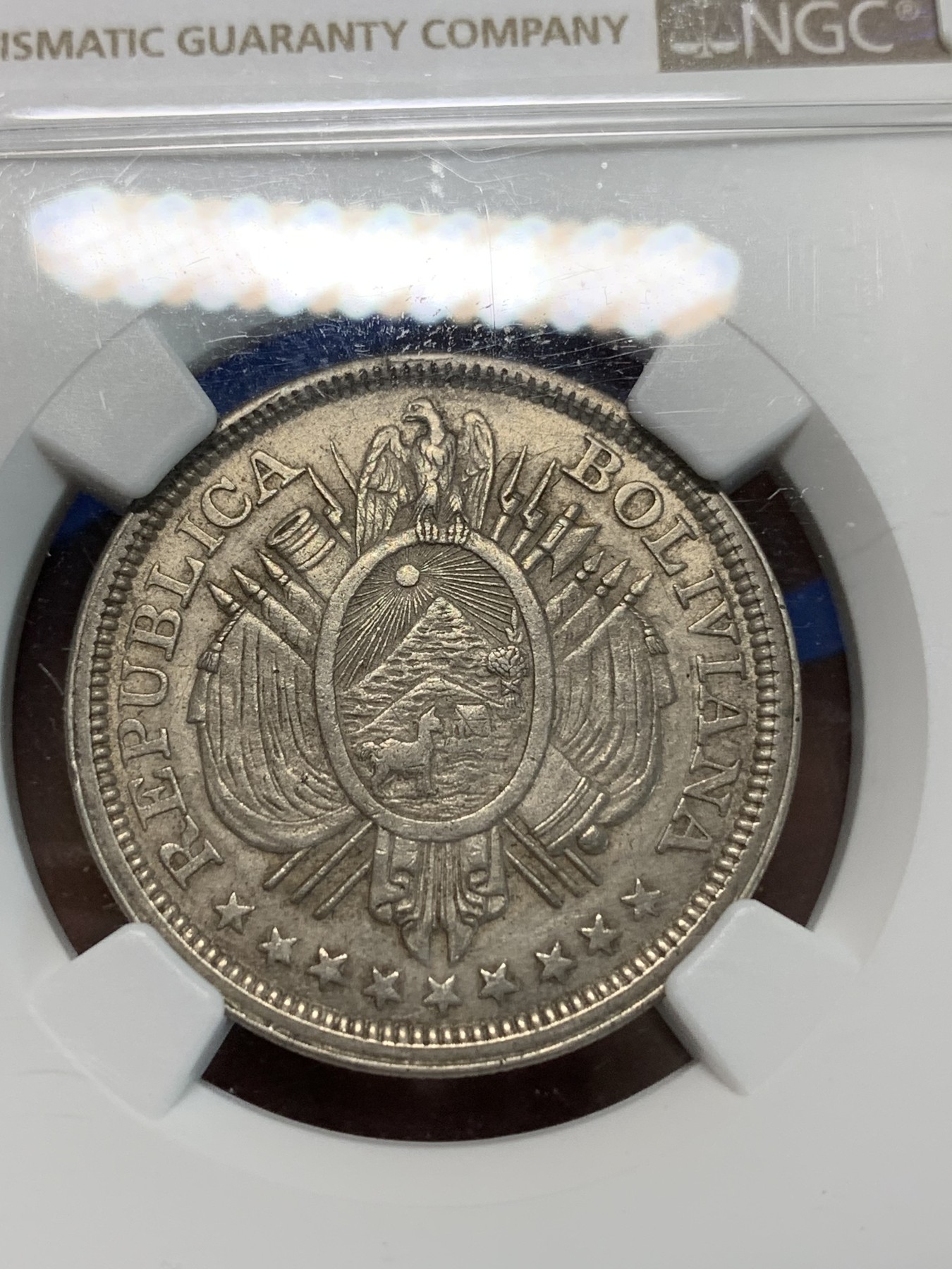 《竞宝斋》第240场-周日，周一 年终尾场 (全场包邮) NGC-MS61 玻利维亚 1891年50分银币 漂亮灰包浆 草泥马图案