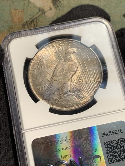 《竞宝斋》第239场-周日，周一 年终拍场 (全场包邮) NGC-MS63 美国1922和平鸽1美元银币