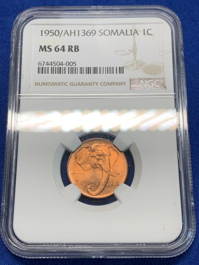 《竞宝斋》第239场-周日，周一 年终拍场 (全场包邮) NGC MS64RB 索马里1950年1分大象头像铜币，好光好品