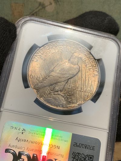 《竞宝斋》第239场-周日，周一 年终拍场 (全场包邮) NGC-MS63 美国1922和平鸽1美元银币