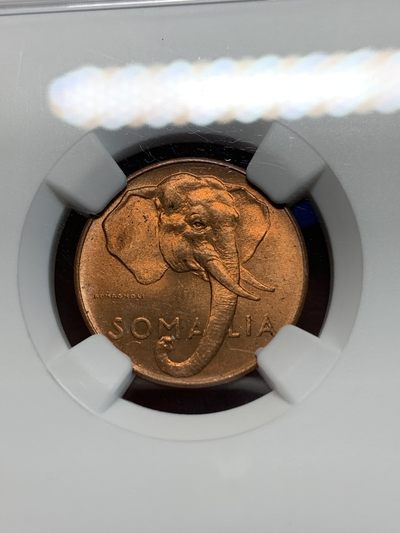 《竞宝斋》第239场-周日，周一 年终拍场 (全场包邮) NGC MS64RB 索马里1950年1分大象头像铜币，好光好品