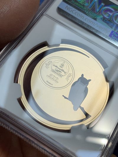 《竞宝斋》第239场-周日，周一 年终拍场 (全场包邮) NGC MS68  蒙古2016年镂空动物系列之猫头鹰镀金银币亚军分 发行量2500枚 设计独特 带原盒证