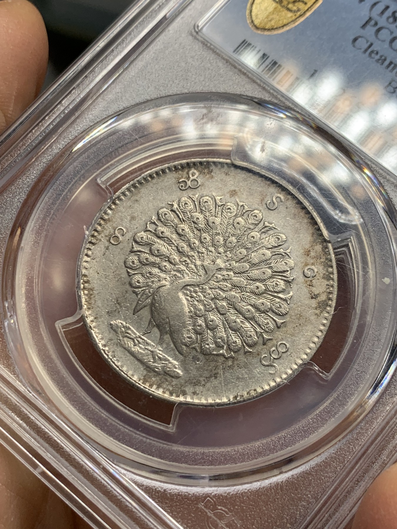《竞宝斋》第240场-周日，周一 年终尾场 (全场包邮) PCGS XFD 缅甸1852年孔雀1Kyat银币
