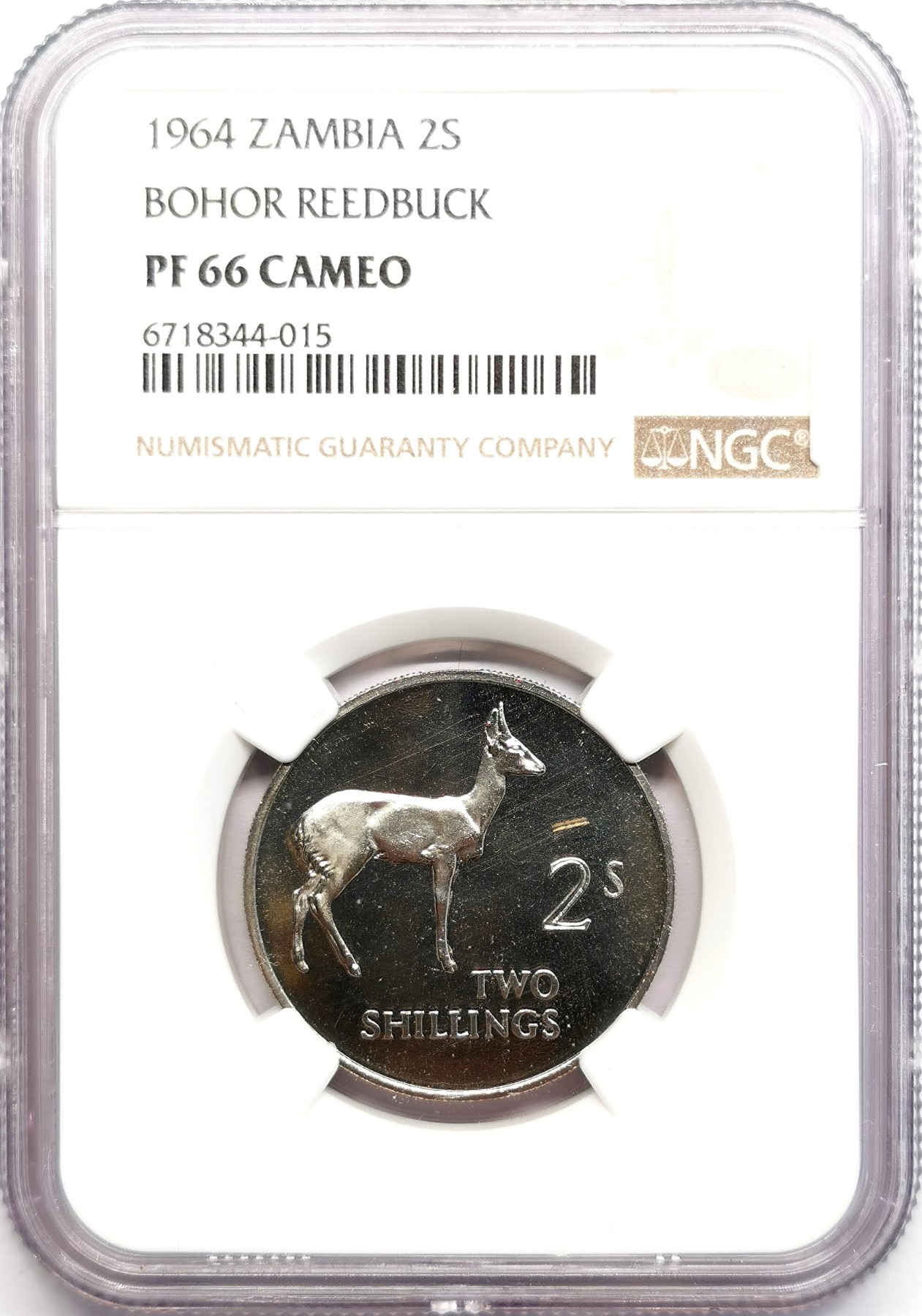 凡希社世界钱币微拍第二百六十期 1964赞比亚苇羚2先令精铸NGC-PF66CAMEO