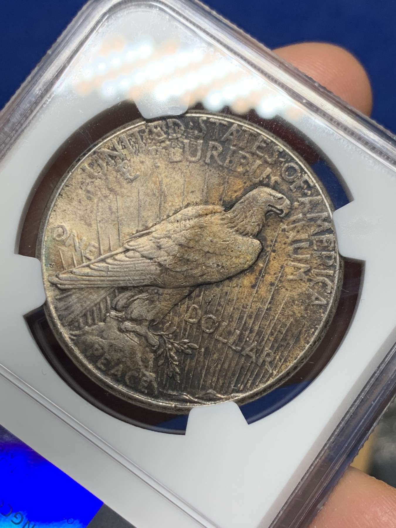 《竞宝斋》第240场-周日，周一 年终尾场 (全场包邮) NGC-MS63 美国1922年一美元和平银币，双面酱彩包浆，很难得