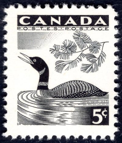 洪涛臻品批发群 精选邮票限时拍卖第五百九十八期  - 加拿大1957年白嘴潜鸟 新票, 精美雕刻版, 原胶全品！相当难得的品相, 漂亮！