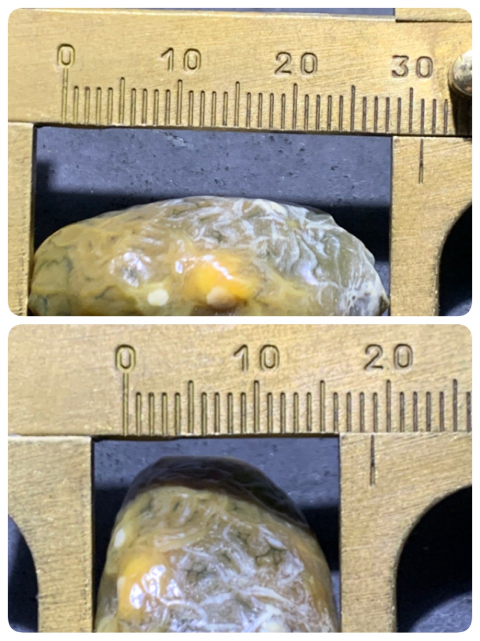精美戈壁高玉化奶油皮鱼籽纹绿筋脉石原石一颗