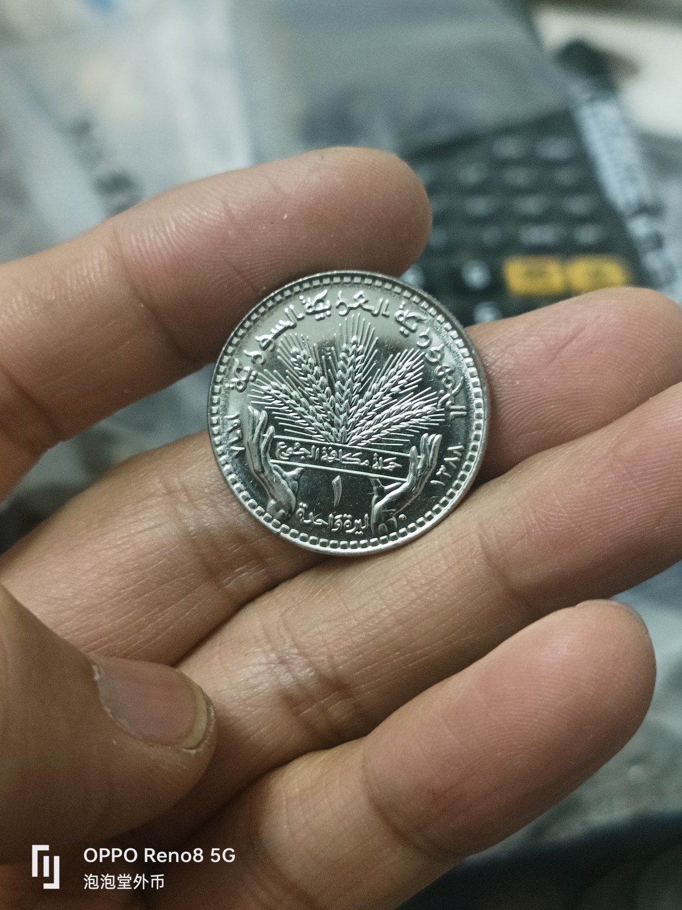 泡泡堂微拍第302幕捡漏可累计专场👿👿，累计满五十元包邮，接受代拍业务 早见叙利亚粮农全新
