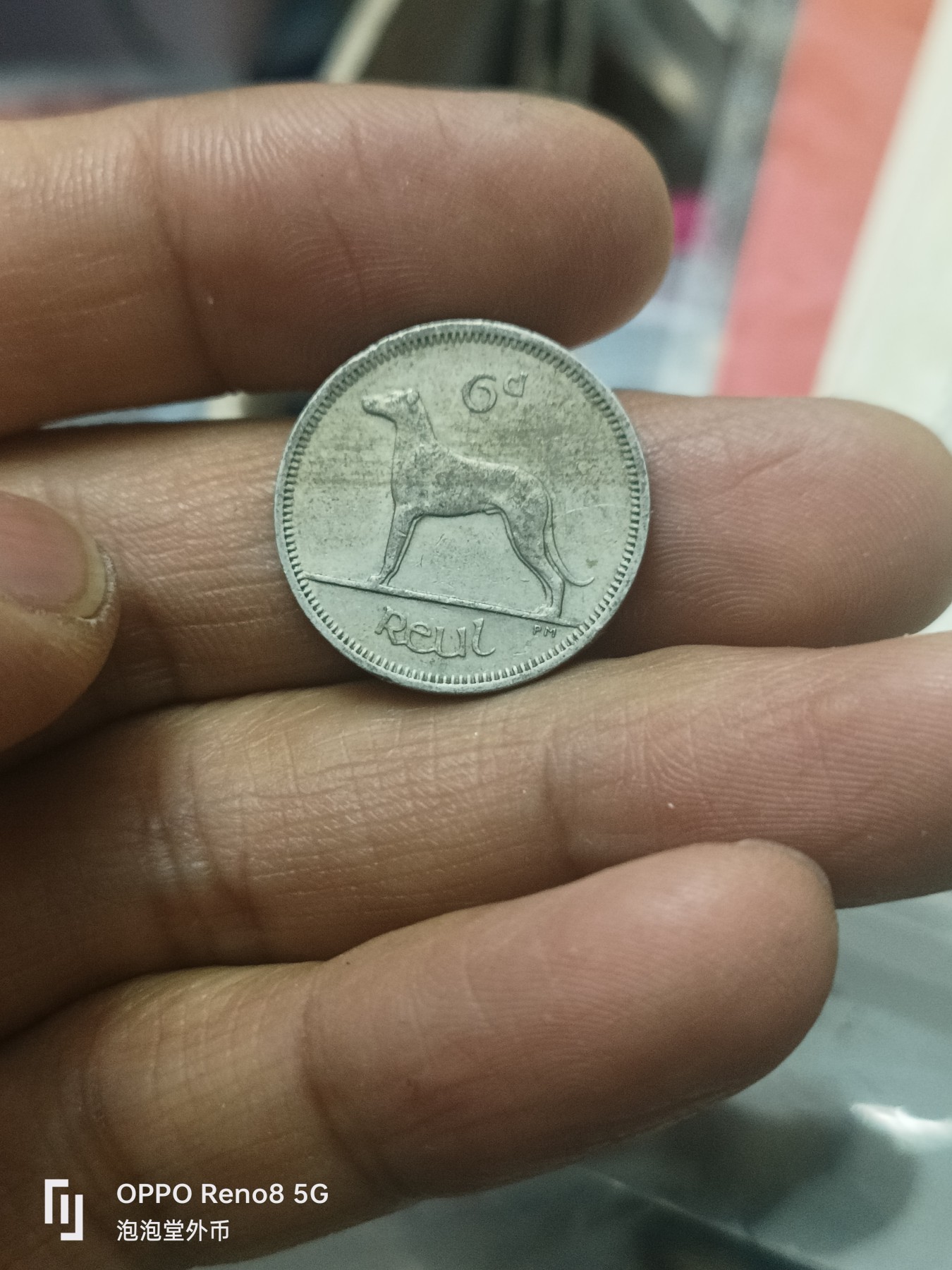 泡泡堂微拍第310幕捡漏可累计专场👿👿，累计满五十元包邮，接受代拍业务 爱尔兰小狗