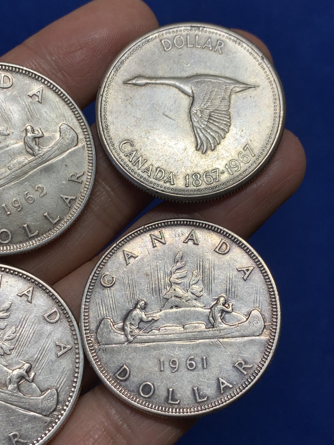 《竞宝斋》第240场-周日，周一 年终尾场 (全场包邮) 4枚一组 加拿大一元银币 每枚重23.3g 800银 状态都不错 带底光