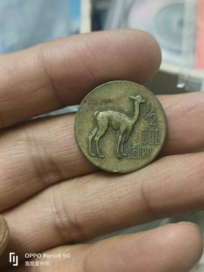 泡泡堂微拍第310幕捡漏可累计专场👿👿，累计满五十元包邮，接受代拍业务 - 秘鲁羊驼1/2索尔