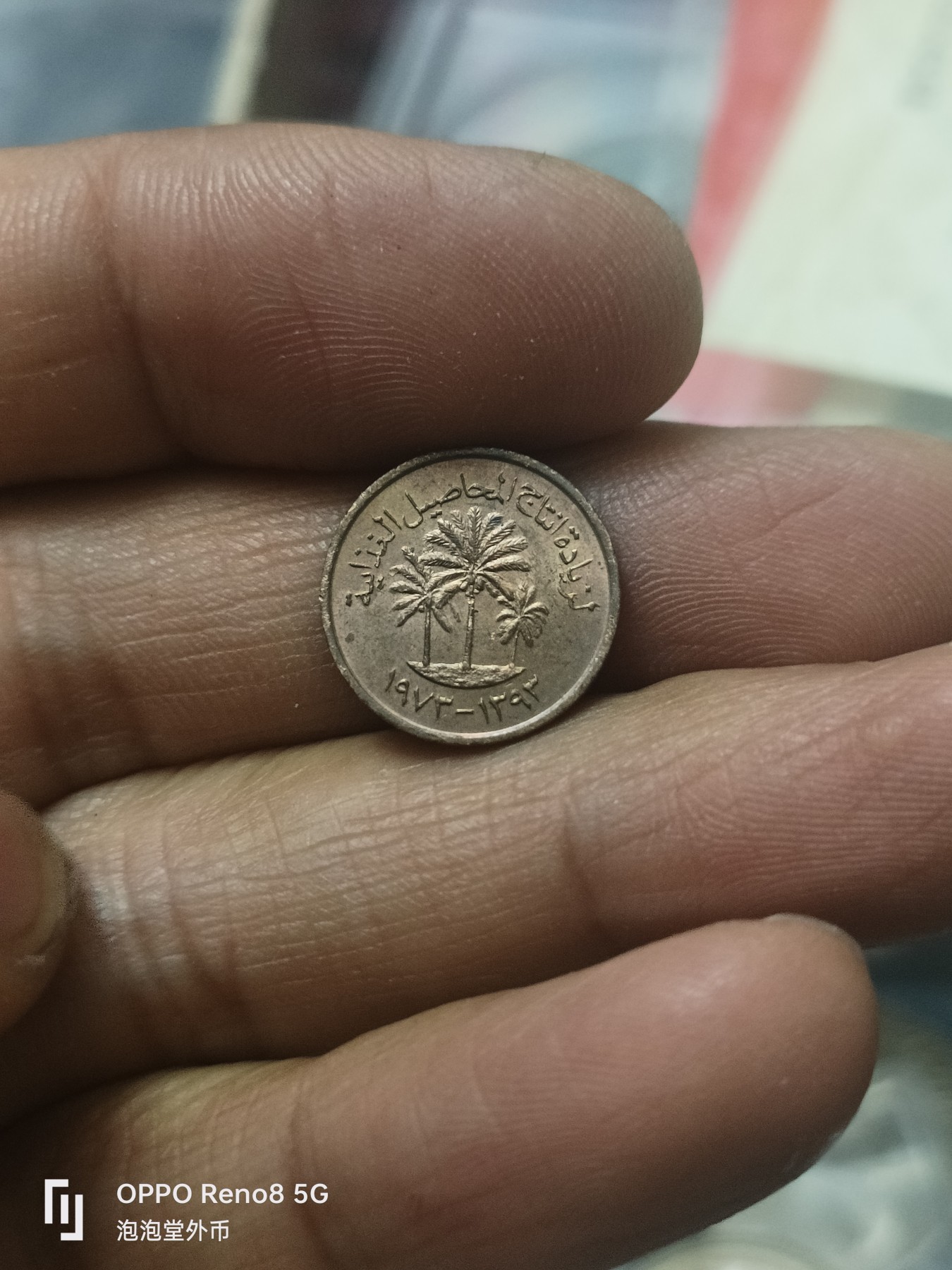 泡泡堂微拍第310幕捡漏可累计专场👿👿，累计满五十元包邮，接受代拍业务 阿联酋最小面值