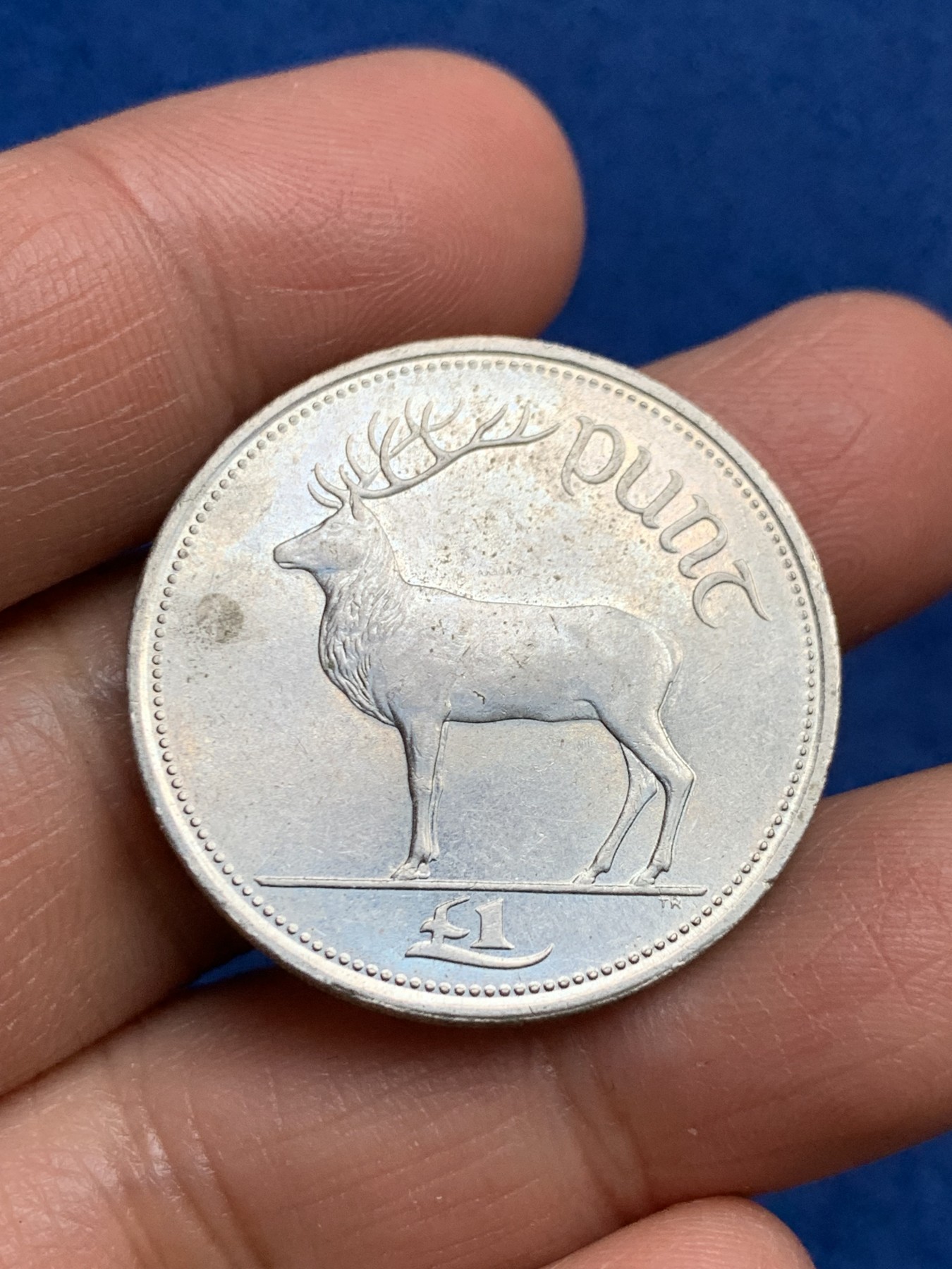 《竞宝斋》第240场-周日，周一 年终尾场 (全场包邮) 爱尔兰1999的1爱磅 麋鹿 立体 鹿角尖尖 脖子鹿毛栩栩如生  背面是竖琴 爱尔兰民族的象征图腾 代表爱尔兰人自豪和创造力  历史俗称爱尔兰的小羊