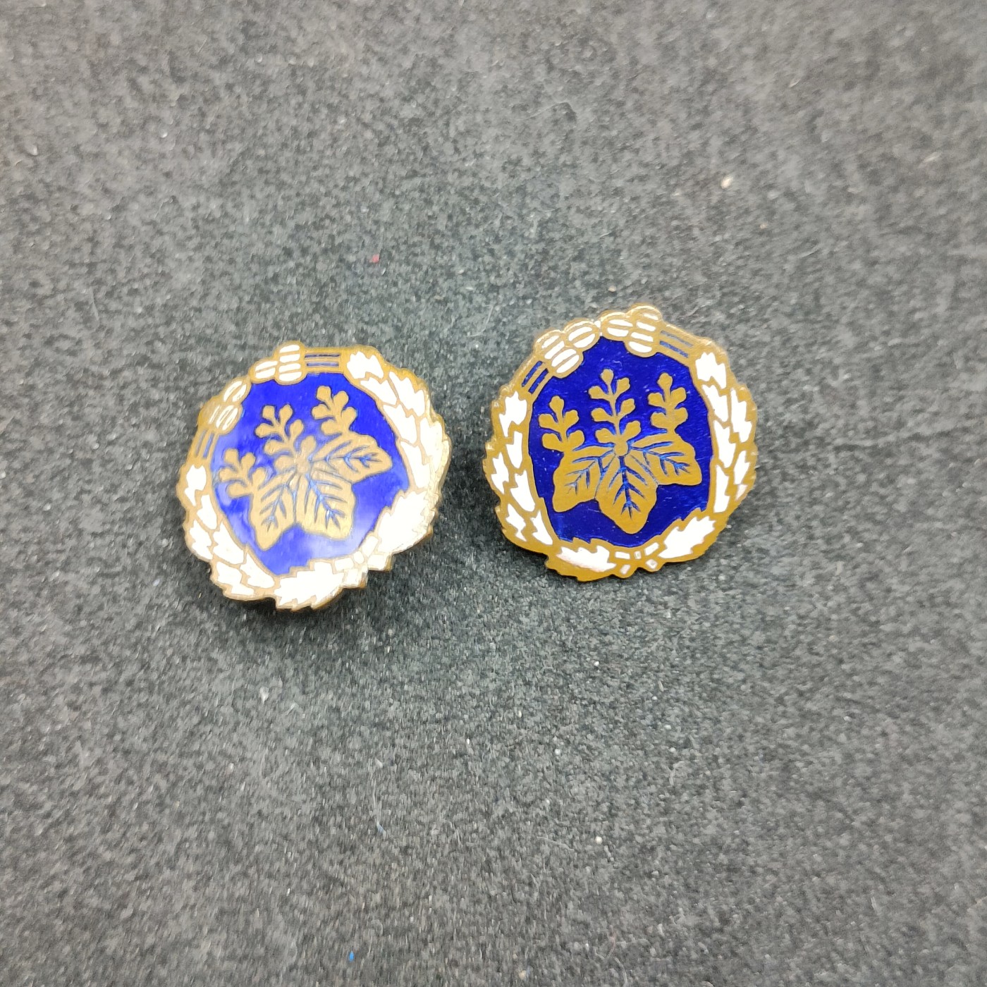 全场0元起拍 第129期 咸鱼国勋章拍卖专场 2月4日（周日）下午6：00开始 日本战前 铁道省制服珐琅领章一对