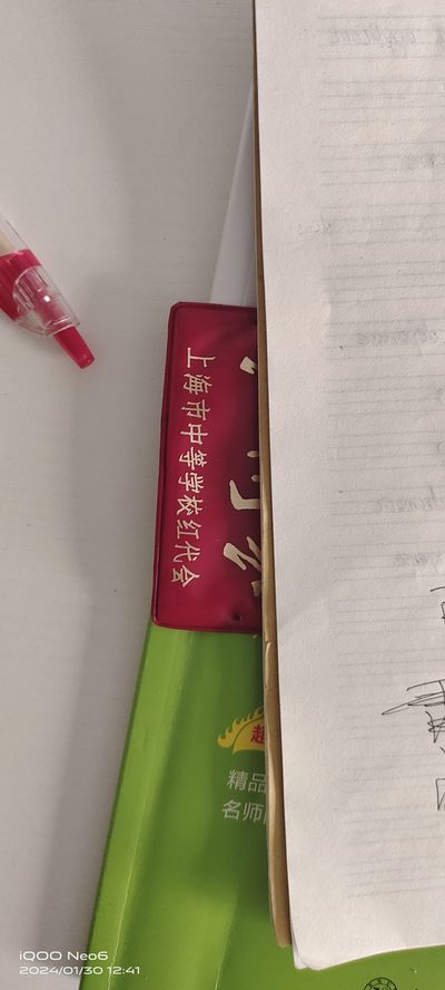 大庆红藏第14场 - 某卫兵胸牌儿