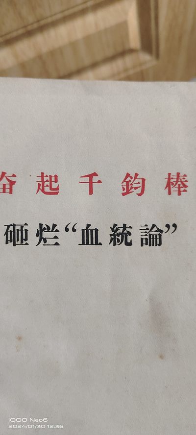 大庆红藏第14场 - 砸烂血统论