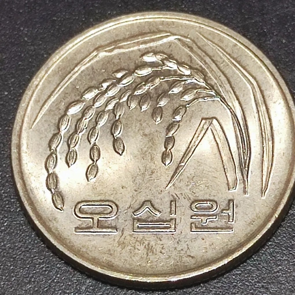 240130 韩国50 稻穗 22mm 随机发货