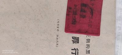 大庆红藏第14场 - 带毛提的黄赤波