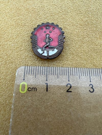 像章纪念章 - 体育纪念章