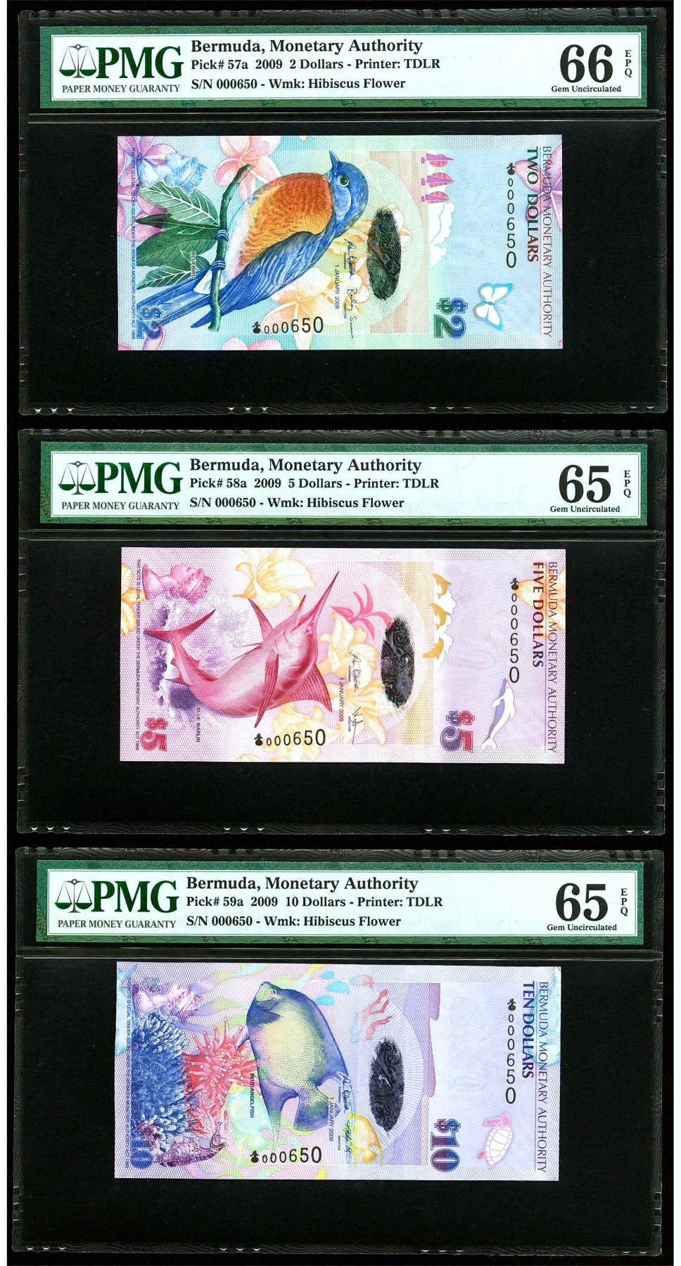 【Blue Auction】✨世界纸币精拍第430期——苍老师专场 PART3  【洋葱冠 650全同小号 含获奖钞】百慕大 2009年2-100元 PMG66EPQ-65EPQ  老壳子 收藏版