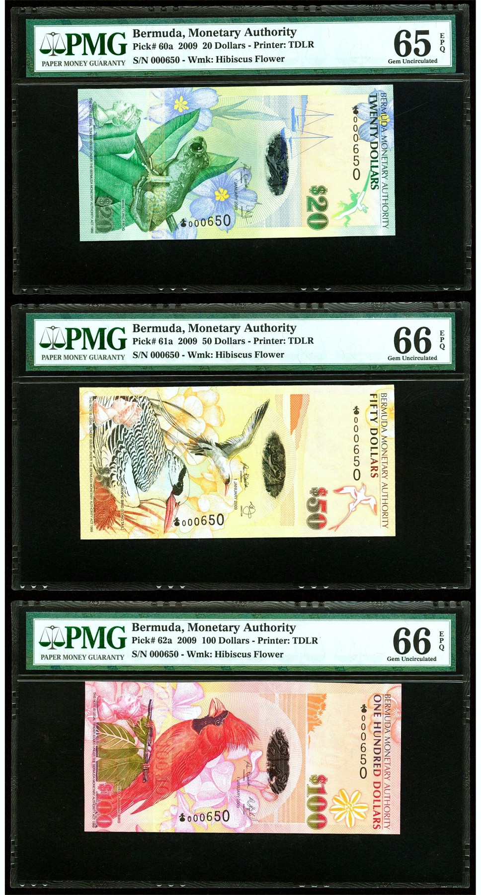 【Blue Auction】✨世界纸币精拍第430期——苍老师专场 PART3  【洋葱冠 650全同小号 含获奖钞】百慕大 2009年2-100元 PMG66EPQ-65EPQ  老壳子 收藏版