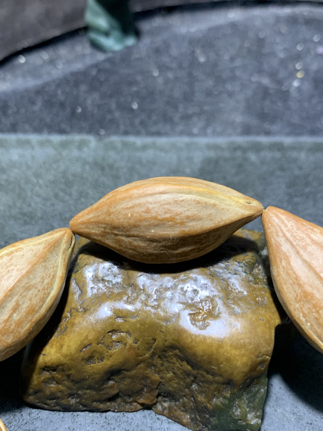 野生原皮原籽三花六棱大橄榄核单圈手串一条，