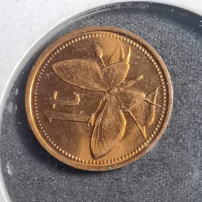 沼泽如烟--第248场2号快递停收这期中拍要年后快递复工才能发货了望理解，介意勿拍感谢 - 巴布亚新几内亚1987年1托伊