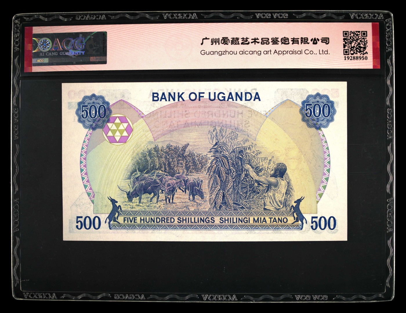 收藏联盟Quantum Auction 第322期拍卖  乌干达1986年500先令 ACG 66EPQ  大票幅 号码无347靓号