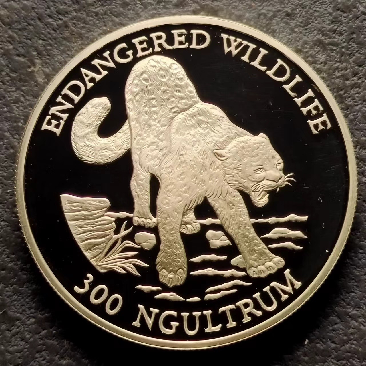 0起1加-纯粹捡漏拍-289银币场