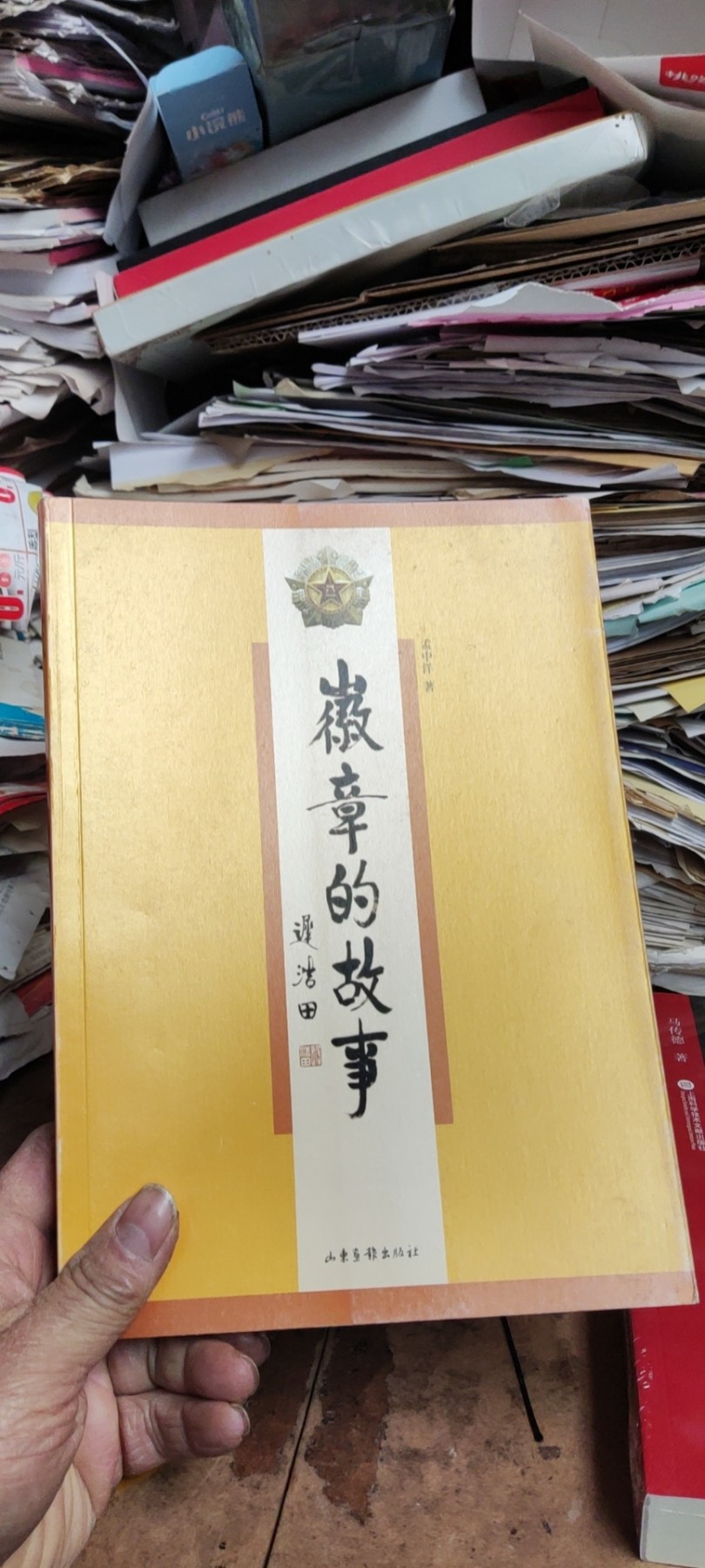 徽章的故事（9品左右）