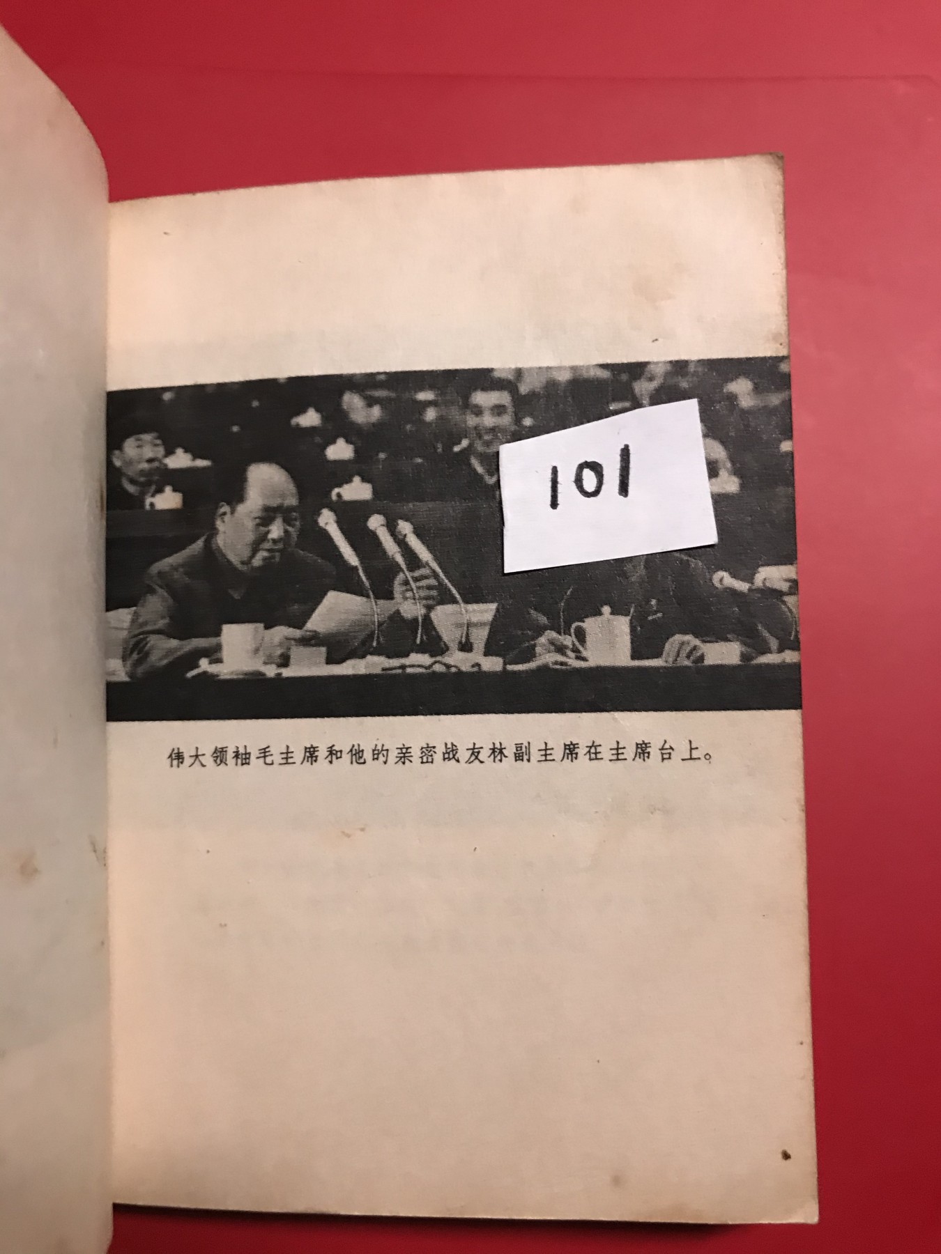 皖江书章，新年拍场，多101 九大，毛101全，无涂画
