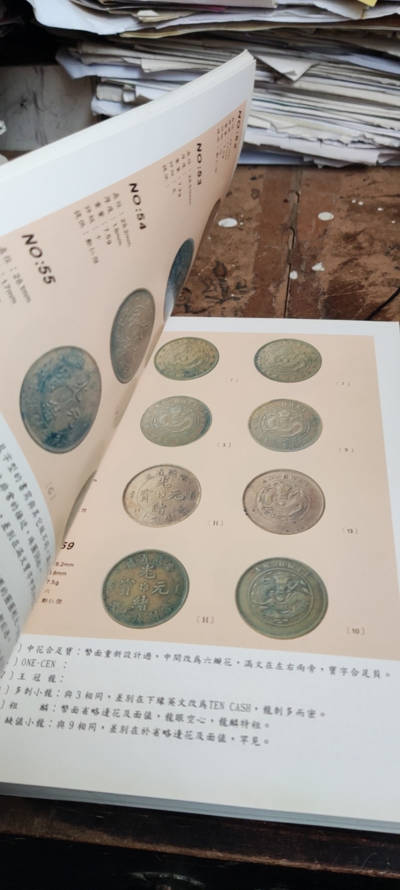 中国铜元鉴赏（有私章）郑仁杰