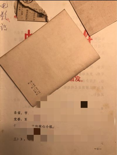 皖江书章 第9次拍卖 - 红透，101材料3。
