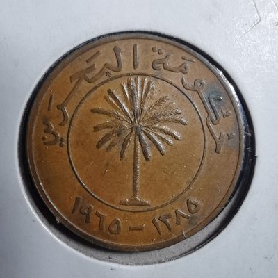 沼泽如烟--第252场快递不收件了中拍要年后快递复工才能发货了望理解，介意勿拍感谢 - 巴林