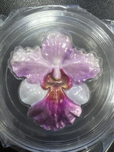 康怡轩【花卉植物专场】97期 - 2020年纽埃发行迷人的兰花2元彩色异性类精制纪念银币（原盒原证）