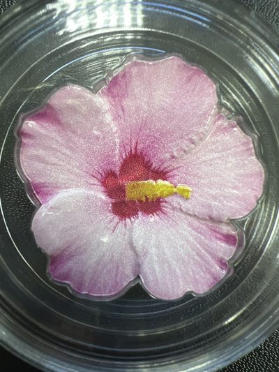 康怡轩【花卉植物专场】97期 - 2020年纽埃发行迷人的木槿花2元彩色异性类精制纪念银币（原盒原证）
