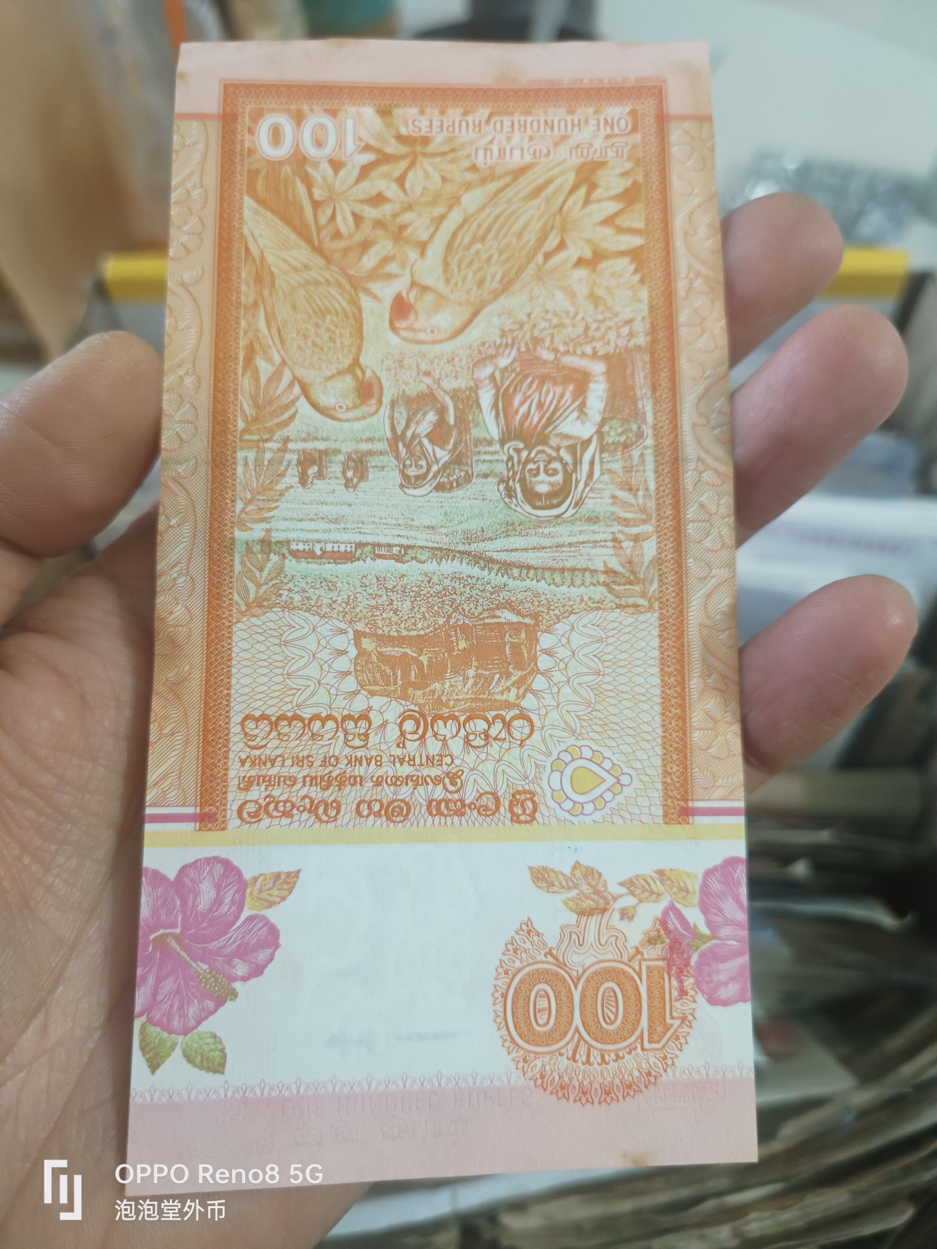 泡泡堂微拍第305幕捡漏可累计专场👿👿，累计满五十元包邮，接受代拍业务 斯里兰卡100