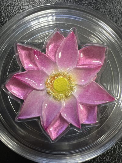 康怡轩【花卉植物专场】97期 - 2019纽埃发行迷人的莲花2元彩色异性类精制纪念银币（原盒原证）