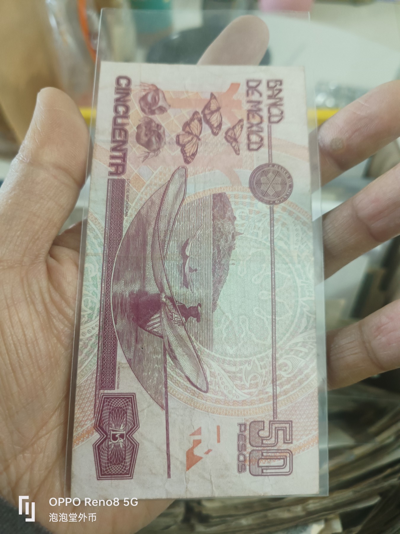 泡泡堂微拍第305幕捡漏可累计专场👿👿，累计满五十元包邮，接受代拍业务 墨西哥50刀