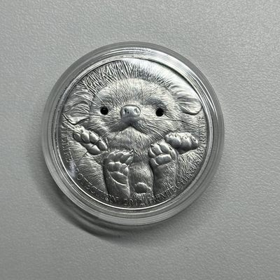 康怡轩钱币【新加坡+不丹+澳门+帕劳+美国+蒙古 纪念币专场】第443期 - 2012年蒙古发行长耳刺猬500坚戈仿古银币 裸币 1枚