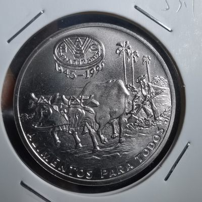 沼泽如烟--第253场快递不收件了中拍要年后快递复工才能发货了望理解，介意勿拍感谢 - 古巴1比索FAO