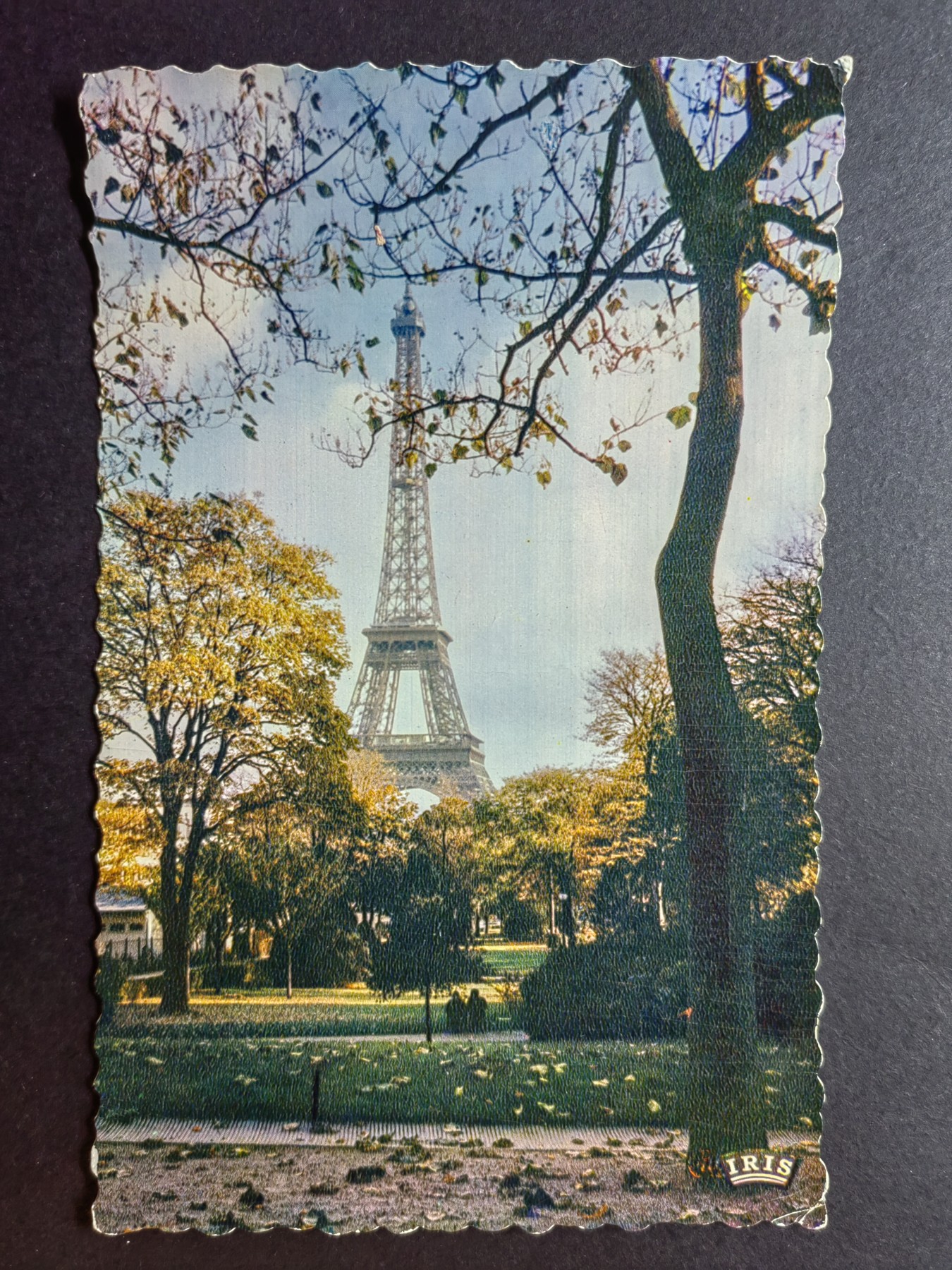 明信片✌（拍卖场）精品🔥专场 第④⑧场 秋天的巴黎铁塔