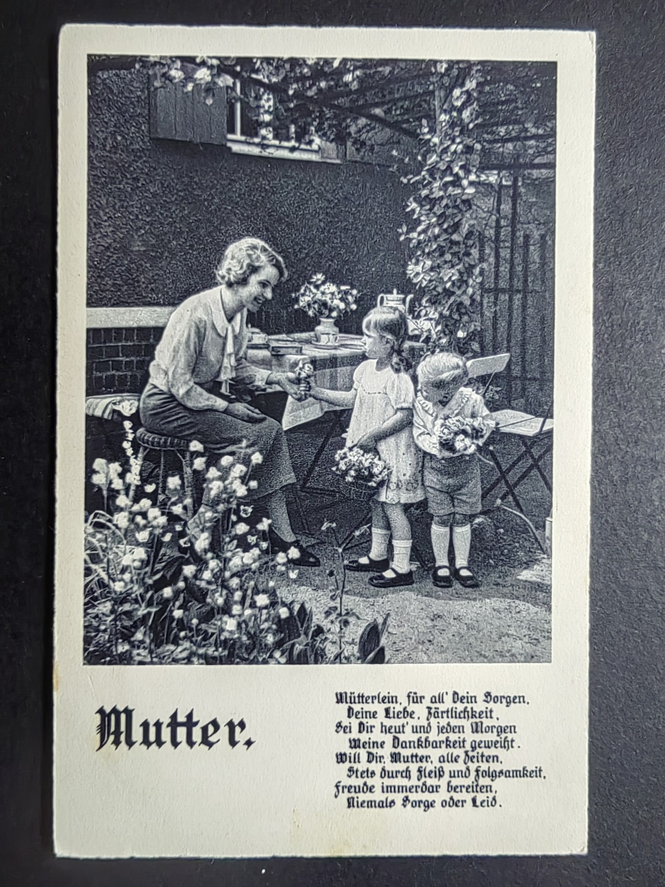 明信片✌（拍卖场）精品🔥专场 第④⑧场 母亲