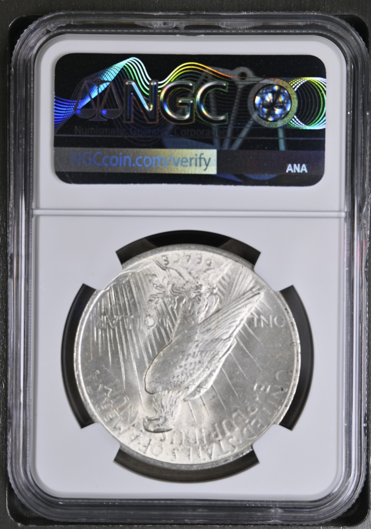 长老汇兔年精选第二场 1923美国和平一美元银币，NGC MS64分， 百年标