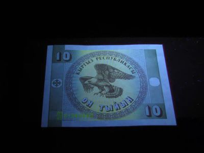 240228 吉尔吉斯斯坦10沙姆1993年全新UNC外国钱币保真收藏纸钞秃鹰图案