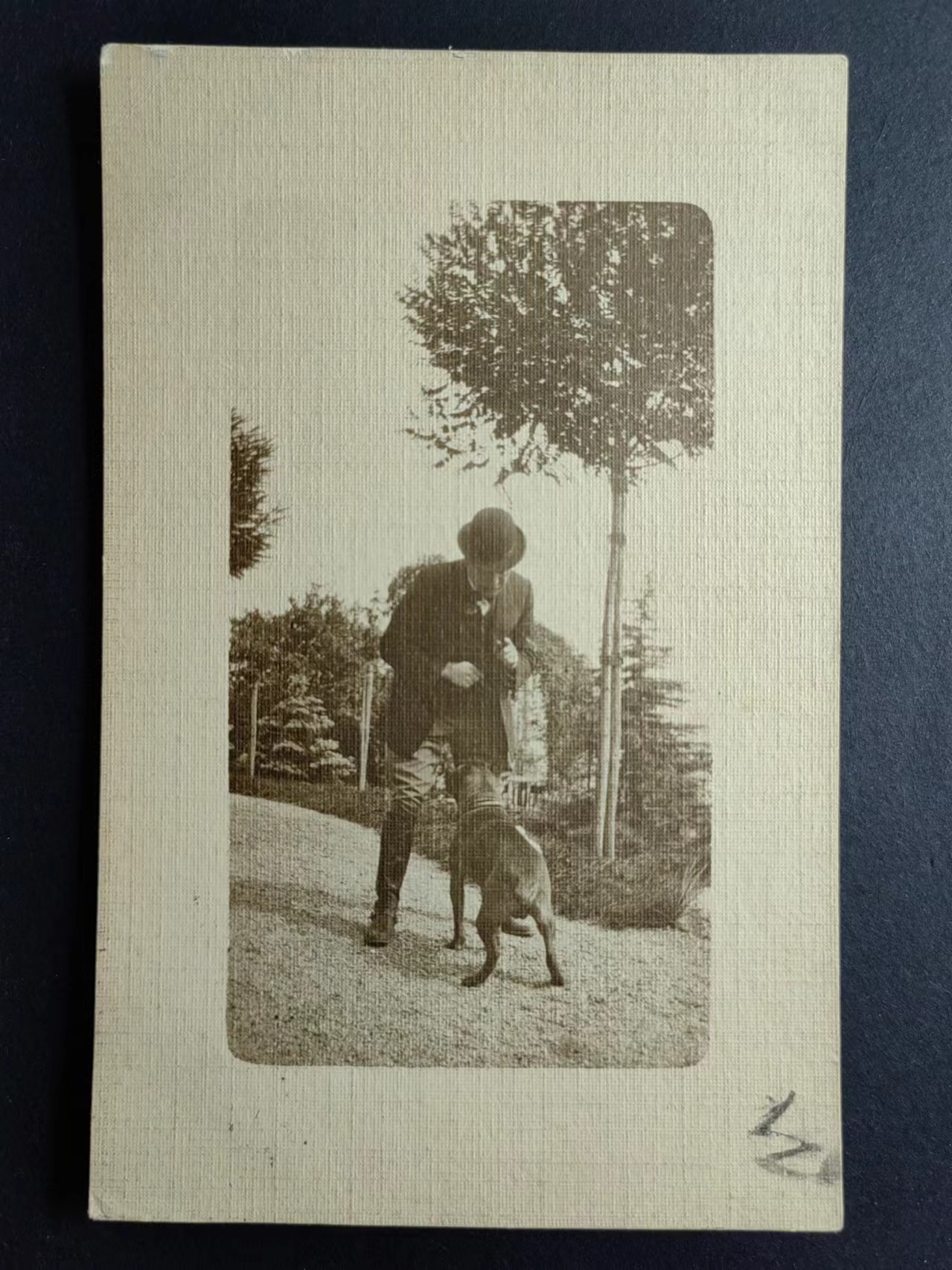 明信片✌（拍卖场）精品🔥专场 第④⑧场 绅士先生与狗