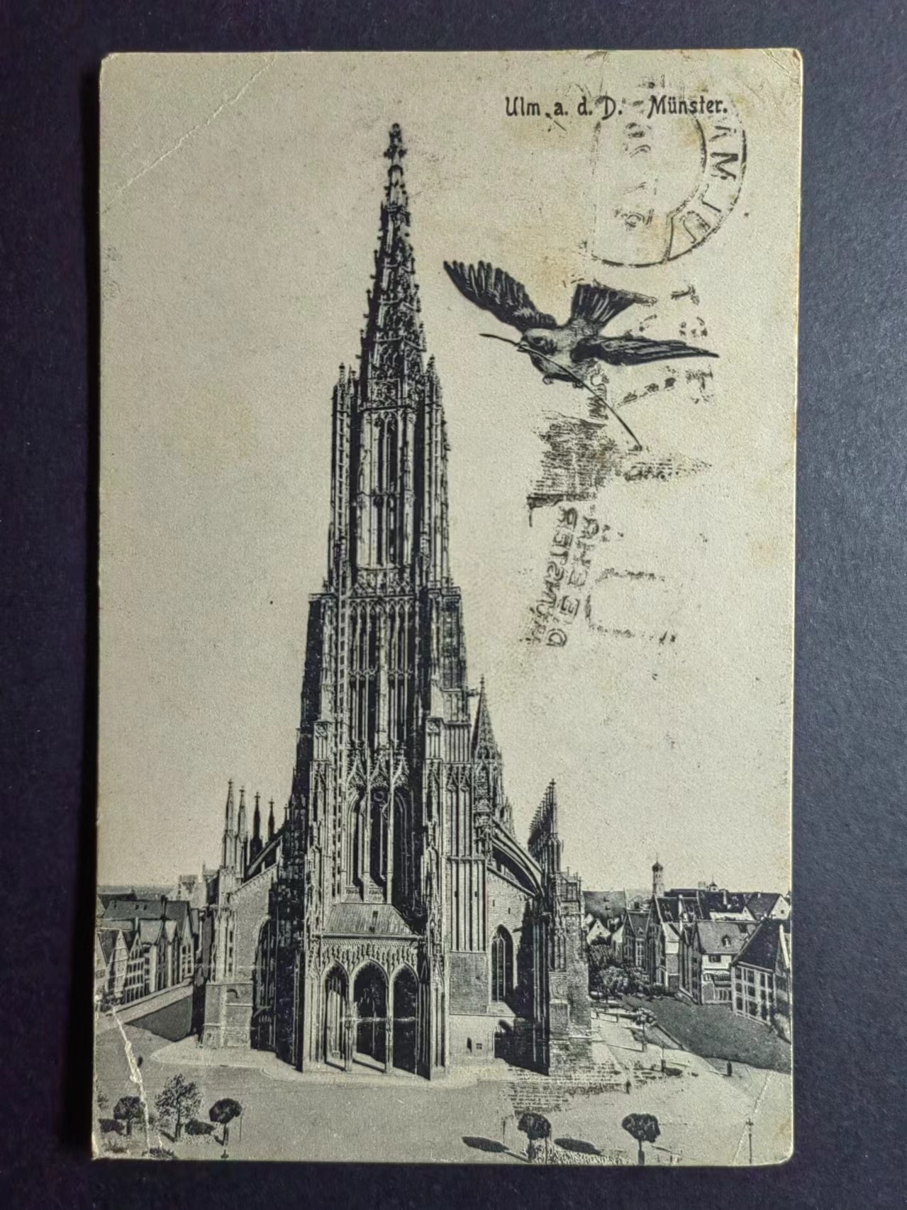 明信片✌（拍卖场）精品🔥专场 第④⑧场 刁着榄支的雄鹰