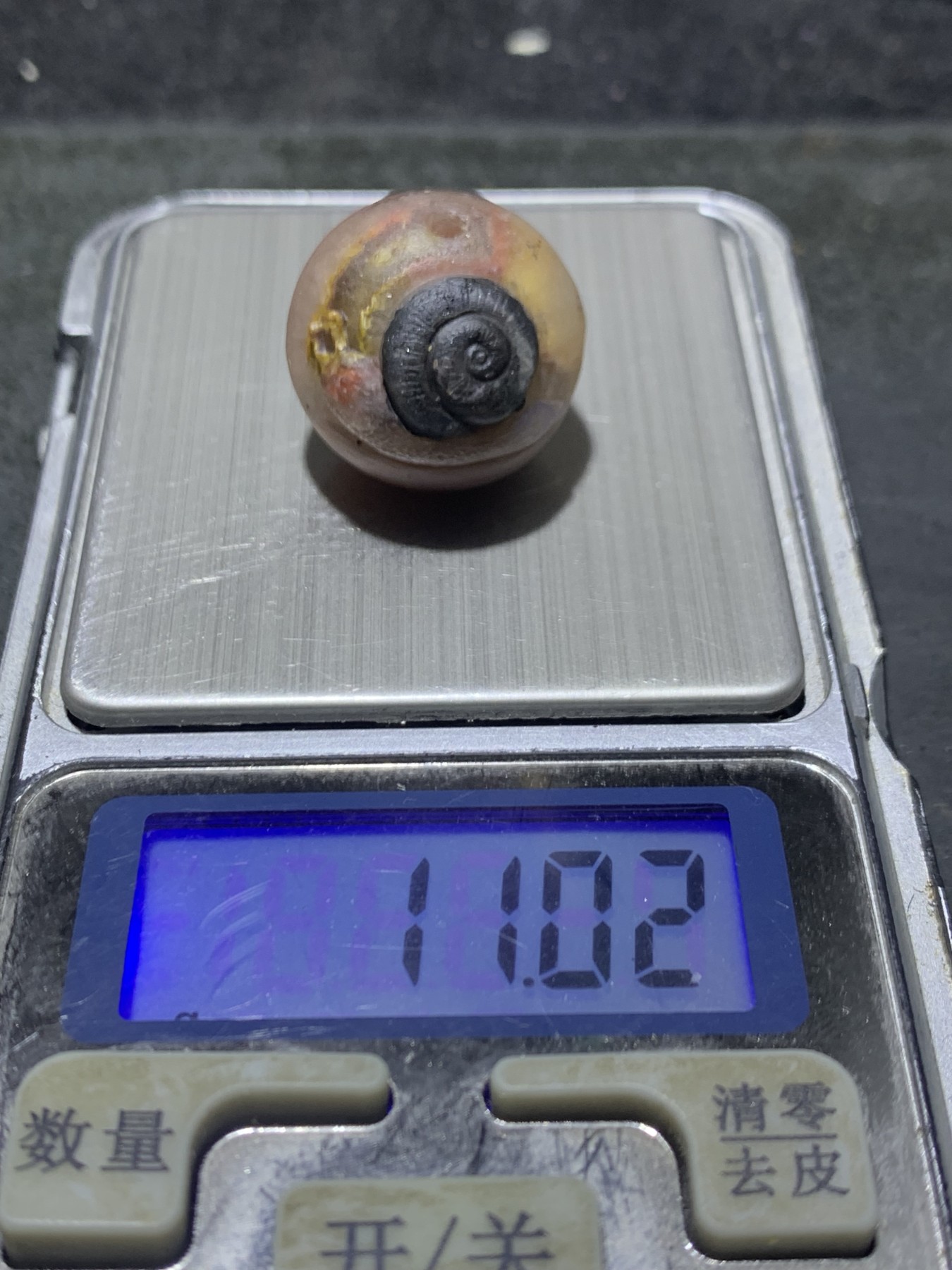 精美冰飘糖心料亚光战国红玛瑙手工俏色巧雕蜗牛随形珠一个