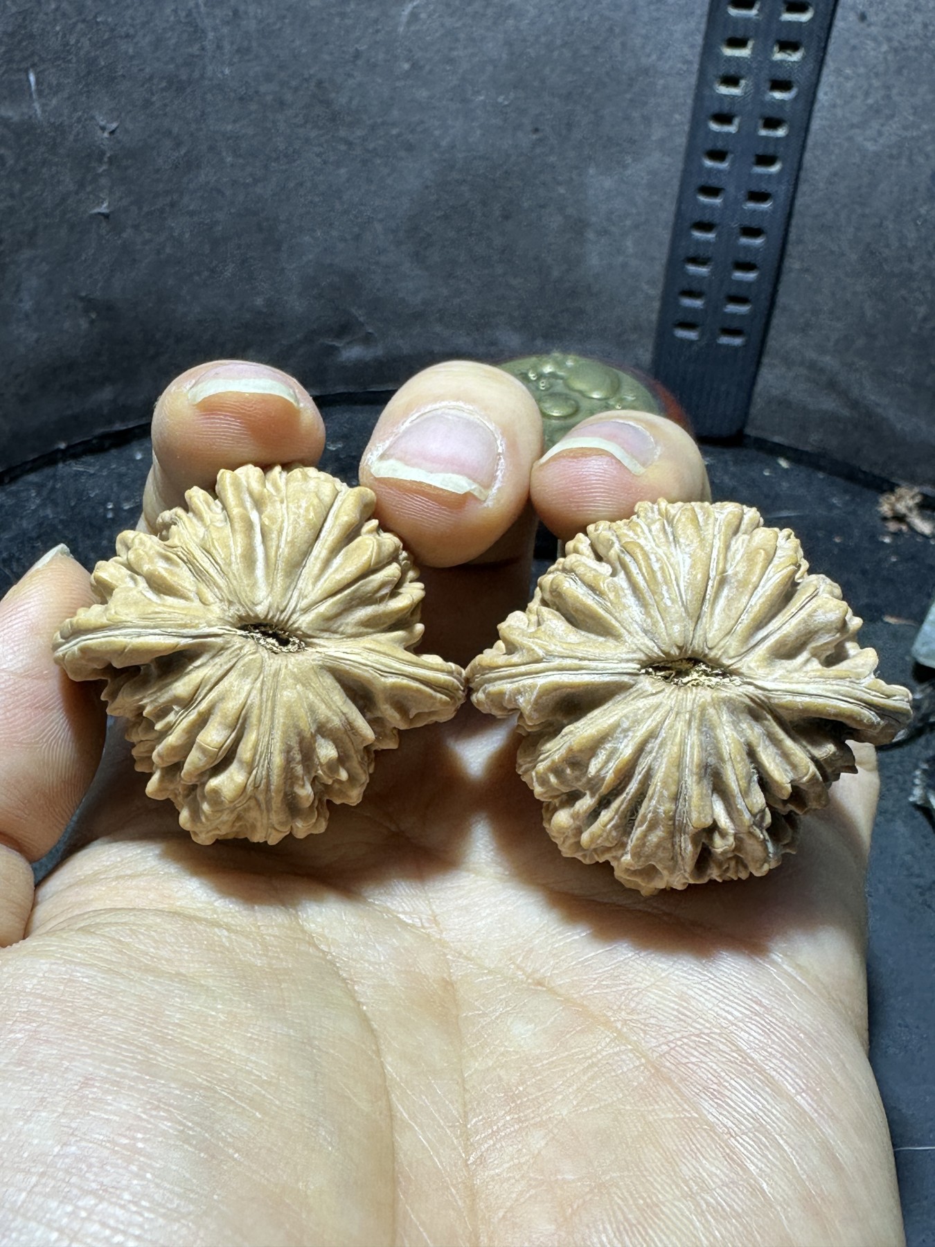 精美原桩四座楼狮子头文玩核桃一对，